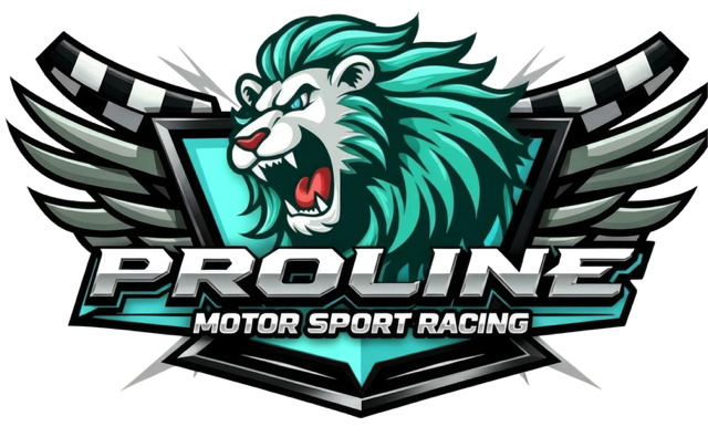 PROLINE — Motor Sport Racing
